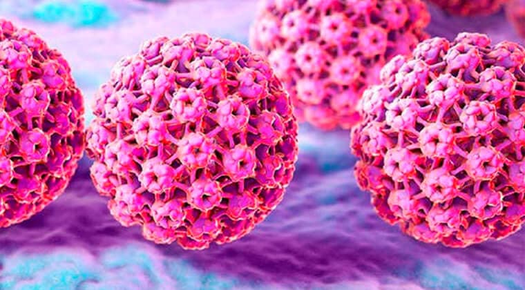 Virus del papiloma humano (VPH)